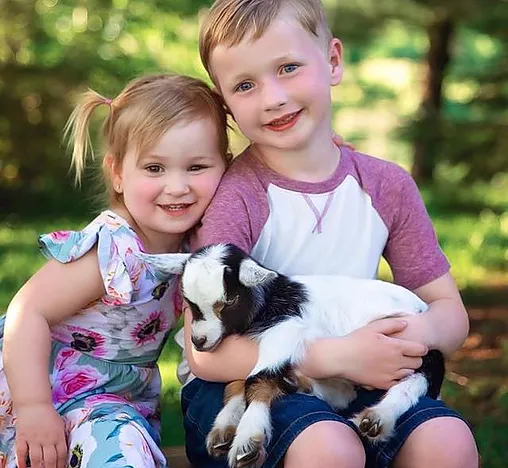 boer goats for sale - Blue Sky Organic Farms.