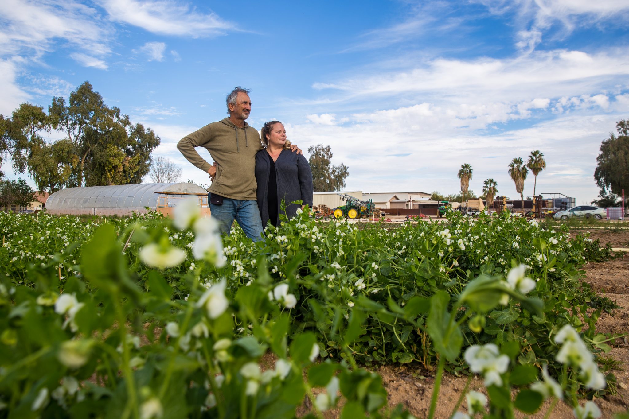 our story - Blue sky Farm.