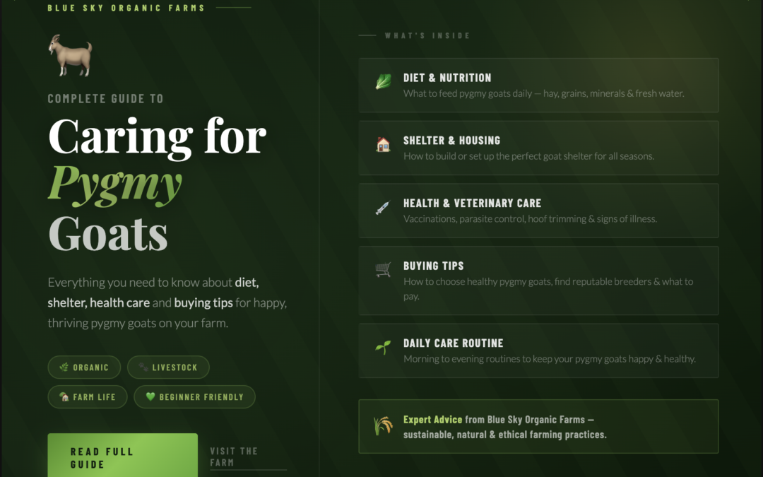 Complete Guide to Caring for Pygmy Goats