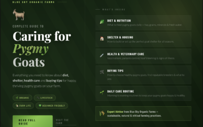 Complete Guide to Caring for Pygmy Goats: Diet, Shelter, Health & Buying Tips